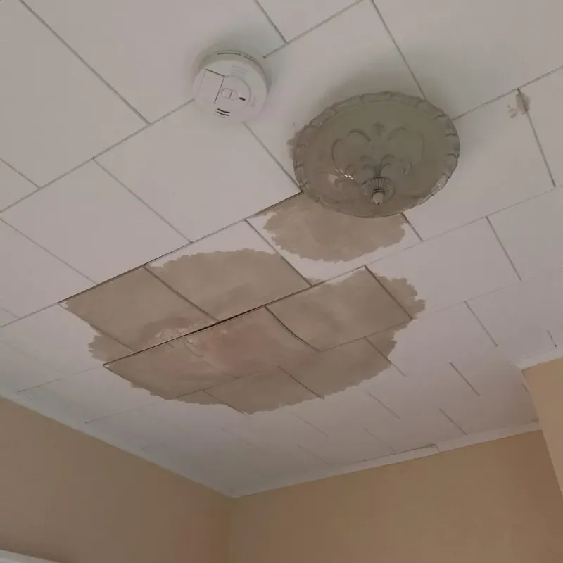 Ceiling Water Damage Repair in Silver Springs Shores, FL