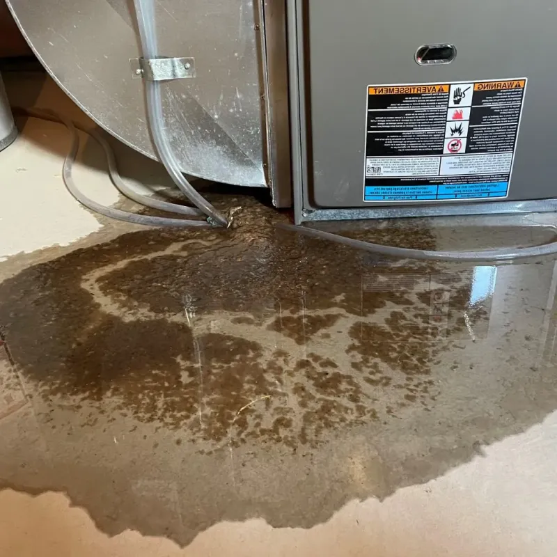 Pipe Burst and Leak Restoration in Silver Springs Shores, FL